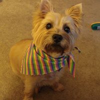 Jeanne Atkinson Photo 30