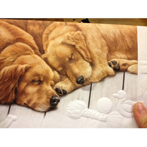 Carly Rogers Photo 14