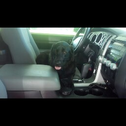 Michelle Ricker Photo 22