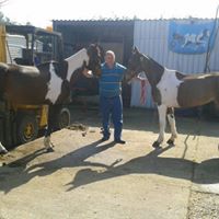 Barry Tracey Photo 7