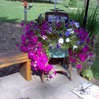 Doris Simmons Photo 29
