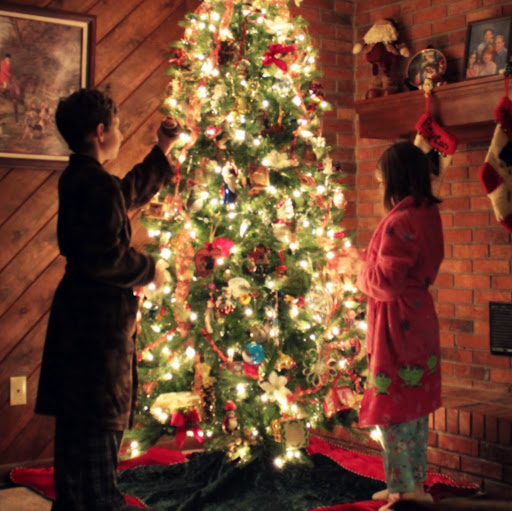 Michelle Light Photo 4