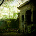 Joseph Winn Photo 7