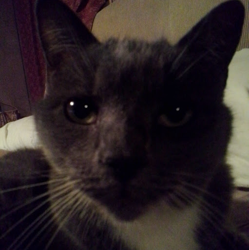 Kelly Demarco Photo 4