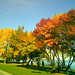 John Nolen Photo 34