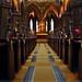 David Mungo Photo 15