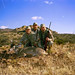 Brian Hunt Photo 18