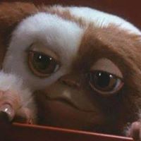 Susan Wheatley Photo 27