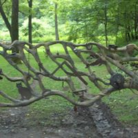 Mary Whitt Photo 17