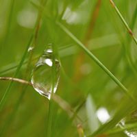 Tracie Hamilton Photo 33