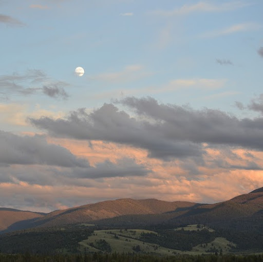 Sandy Connell Photo 14