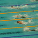 Michael Phelps Photo 17
