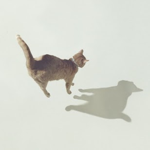 James Zheng Photo 18