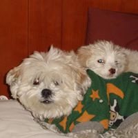 Guadalupe Garza Photo 30