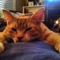 Tracey Bean Photo 14