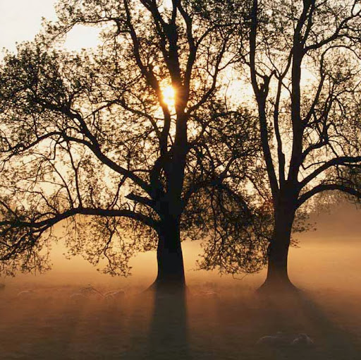 Robert Reitz Photo 24