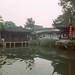Shi Wang Photo 27