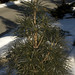 Cynthia Bloom Photo 25