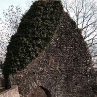 Susan Wiseman Photo 16 Susan Wiseman Photo 16