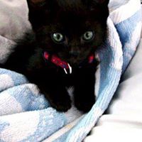 Elizabeth Toland Photo 3