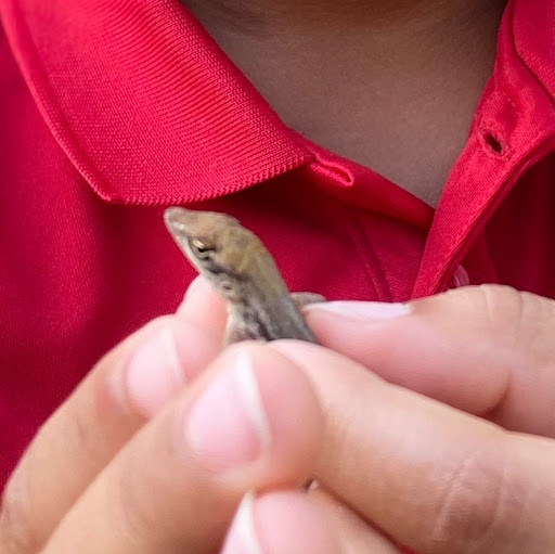 Simone Moore Photo 43