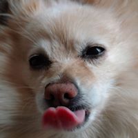 Kelly Ziegler Photo 9