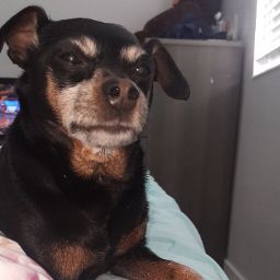 Megan Brewster Photo 2