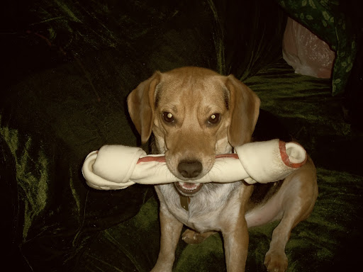 Cindy Craddock Photo 14