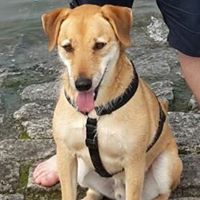 Kristian Wolff Photo 5