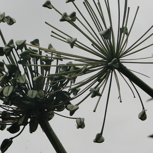 Ellen Hunter Photo 7