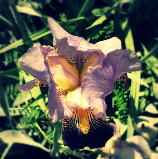 Jennifer Rector Photo 19