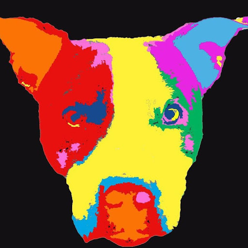 Jason Davidson Photo 21