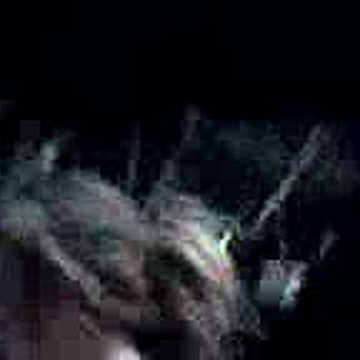 Taylor Hartman Photo 8 Taylor Hartman Photo 8