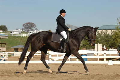 Catherine Sutton Photo 36