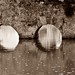 George Berard Photo 9