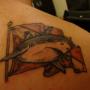 Matthew Shirey Photo 5