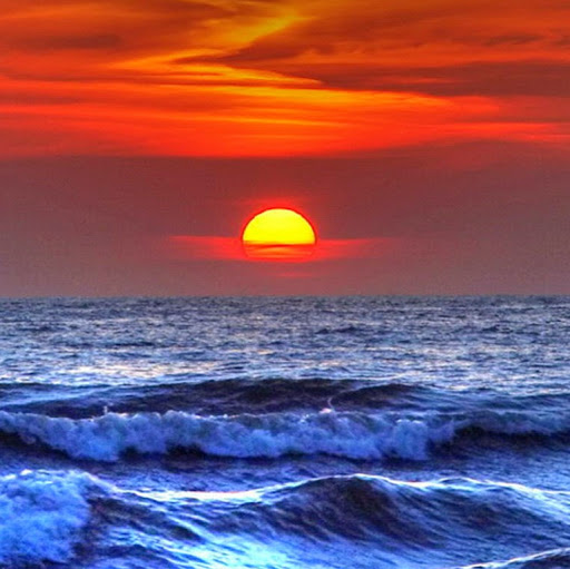 Wendy Kline Photo 22