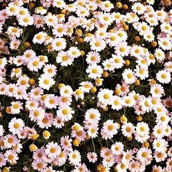 Chloe Aldridge Photo 3