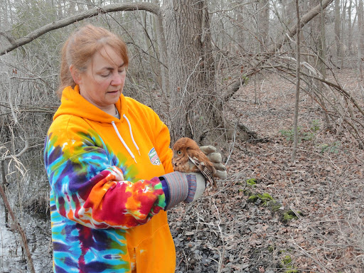 Kathleen Hossler Photo 3