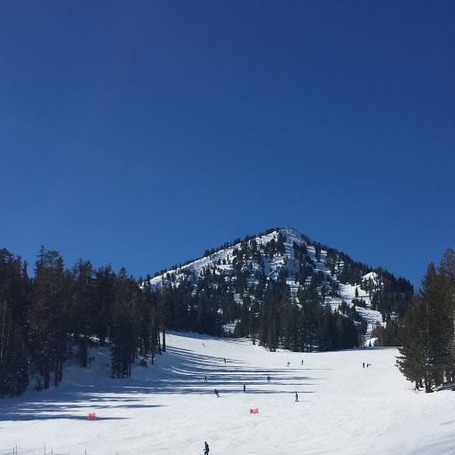 Anthony Dougherty Photo 37