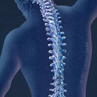 Jacquelyn Perry Photo 15