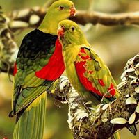 Frank Benjamin Photo 41