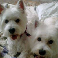 Debbie Zuehlke Photo 3