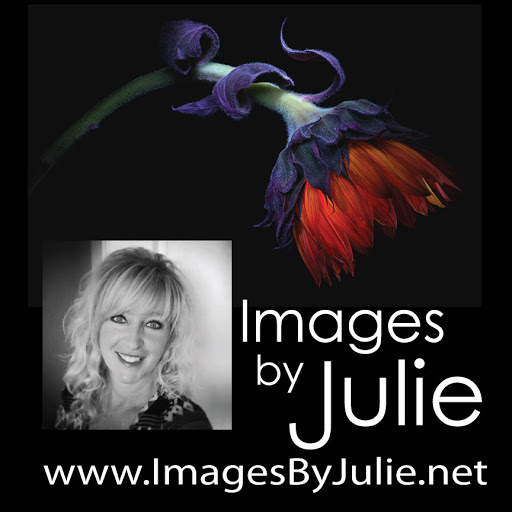 Julie Powell Photo 20