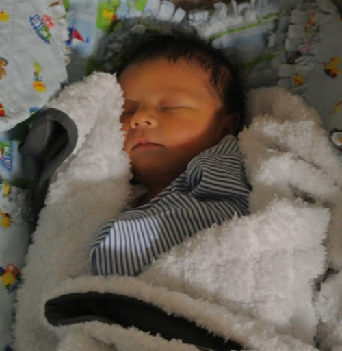 Alexander Stephens Photo 29 Alexander Stephens Photo 29