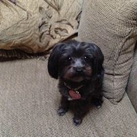 Alice Dowling Photo 7