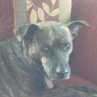 Andrea Mccray Photo 16