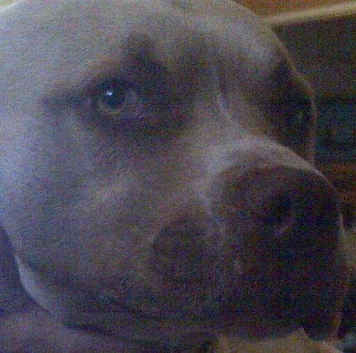 Paul Crouch Photo 34