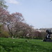 Henry Mccarthy Photo 16