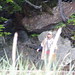 Kristin Wolfe Photo 14